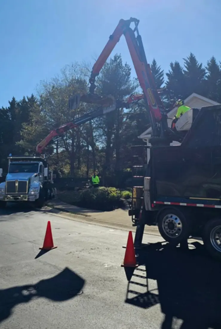 Tree Installation