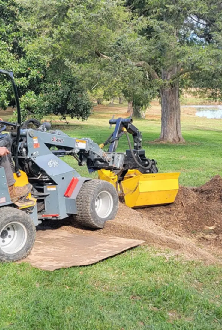 Stump Removal