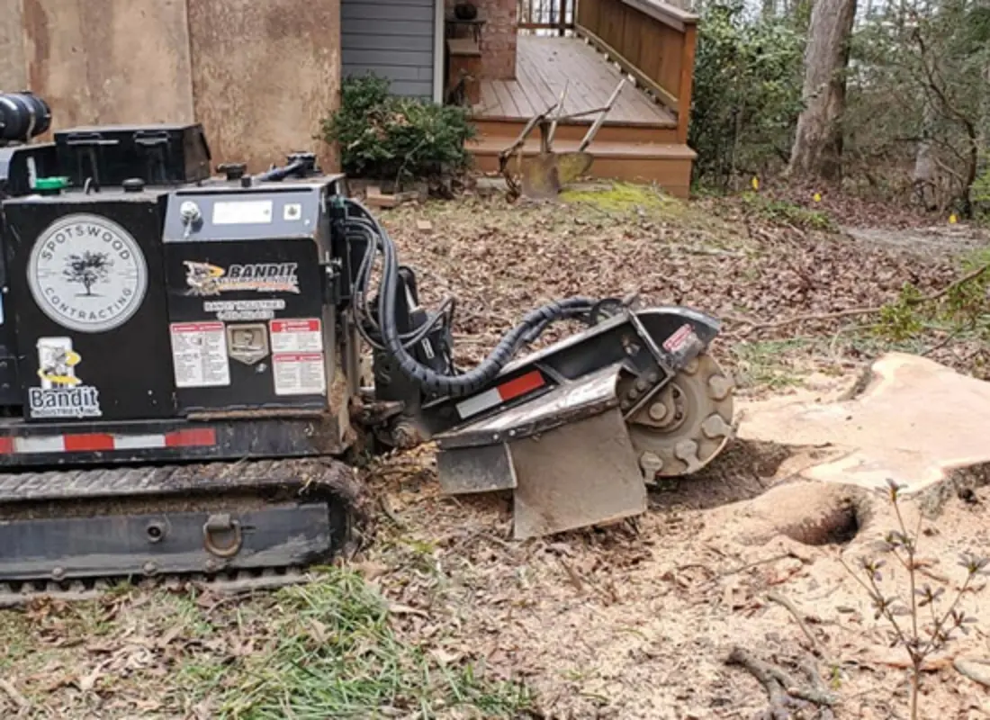 Stump Removal