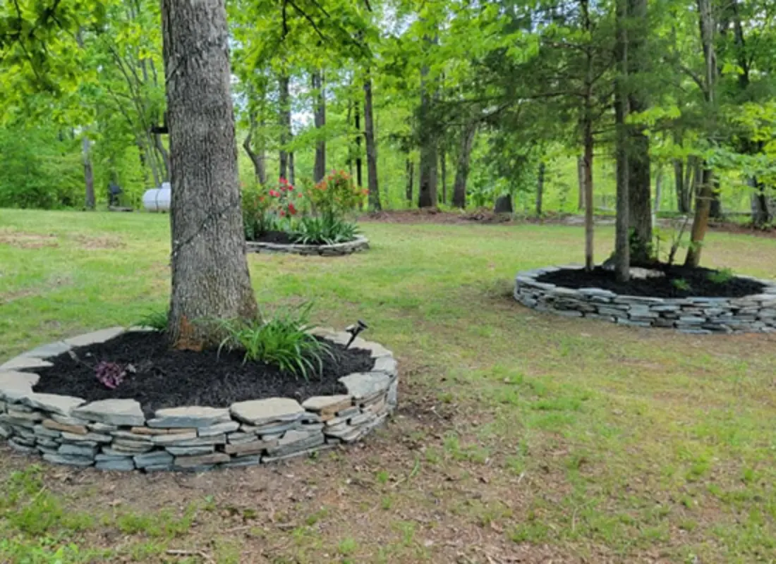 Tree Health Consultation
