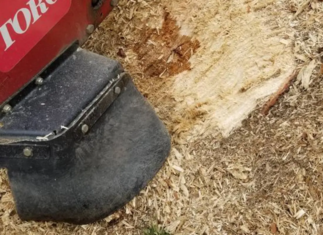 Stump Removal