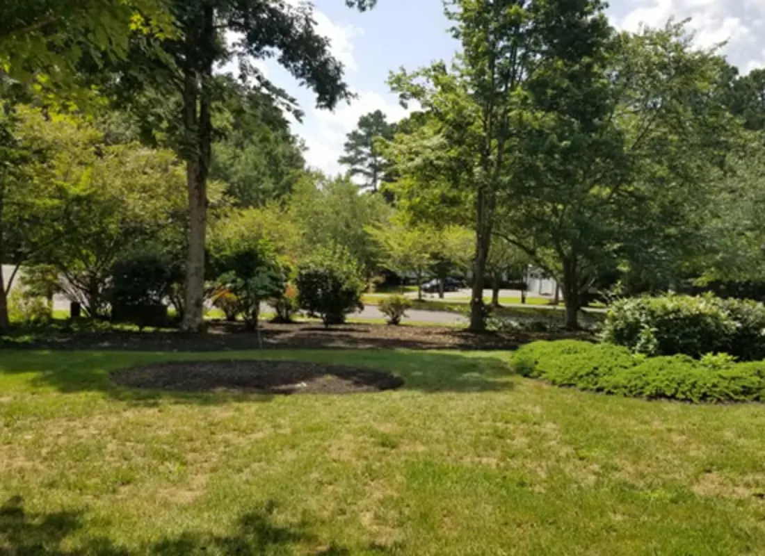 Tree Installation