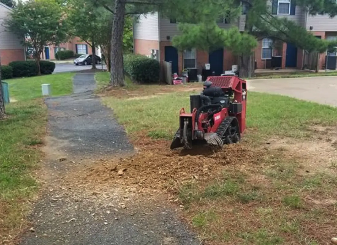 Stump Removal
