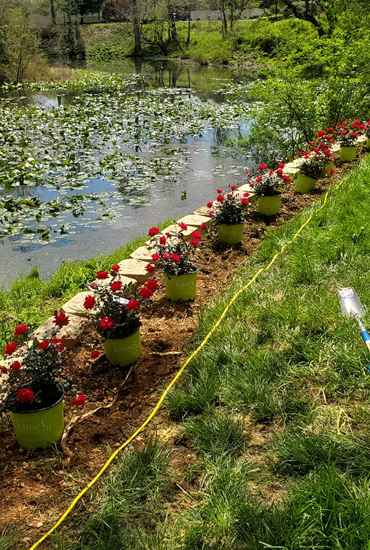 Landscape Design and Installation