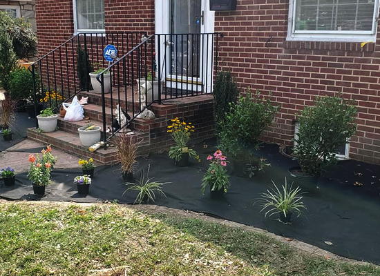 Landscape Design and Installation