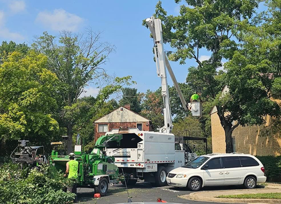 Tree Pruning